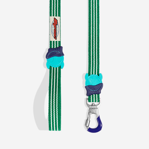 Guia para Cachorros Velvet Vibes Vert