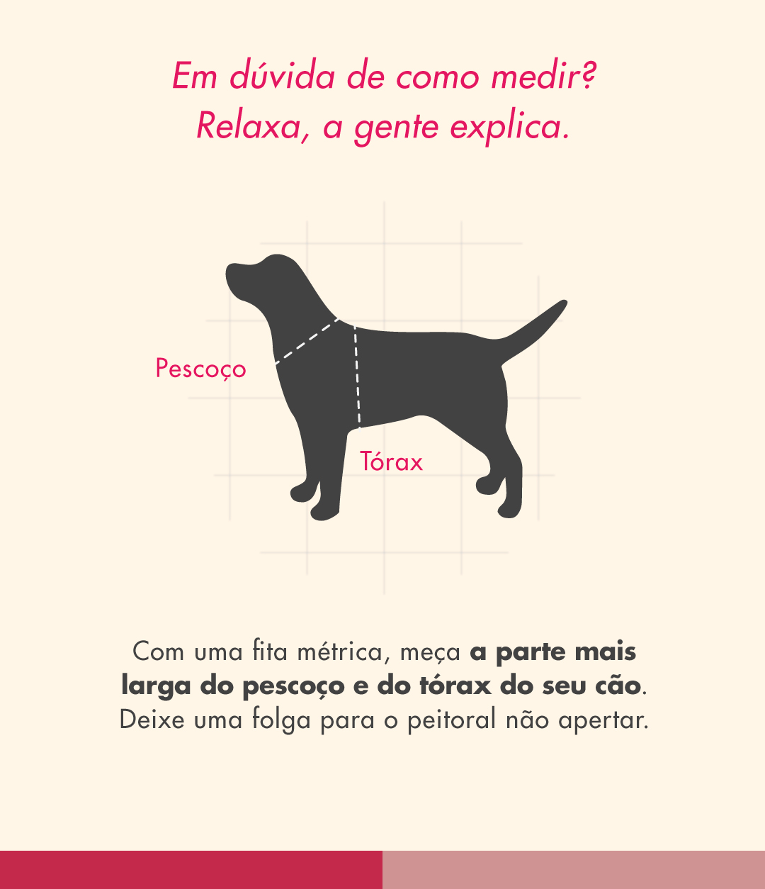 Peitoral H para Cachorros Bloom