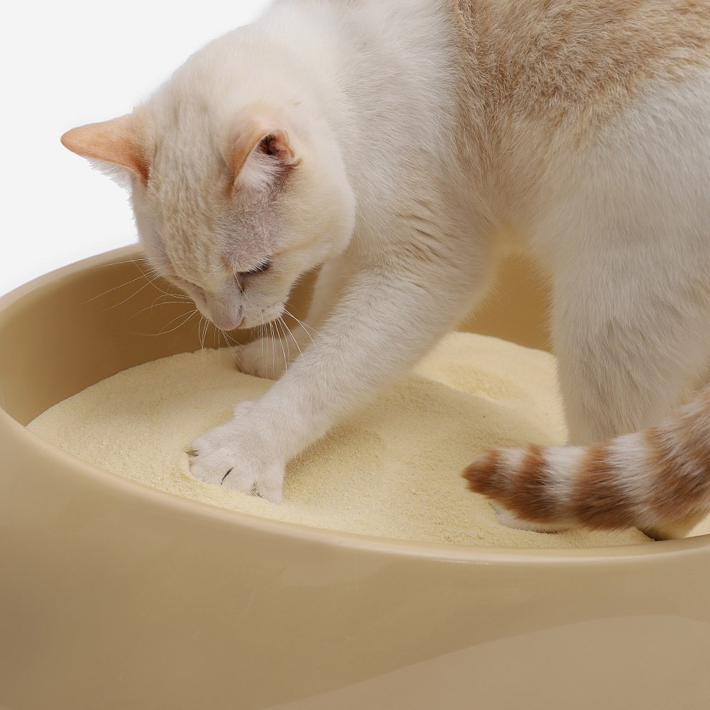 Areia Sanitária Biodegradável Cansei de Ser Gato Grãos Finos 