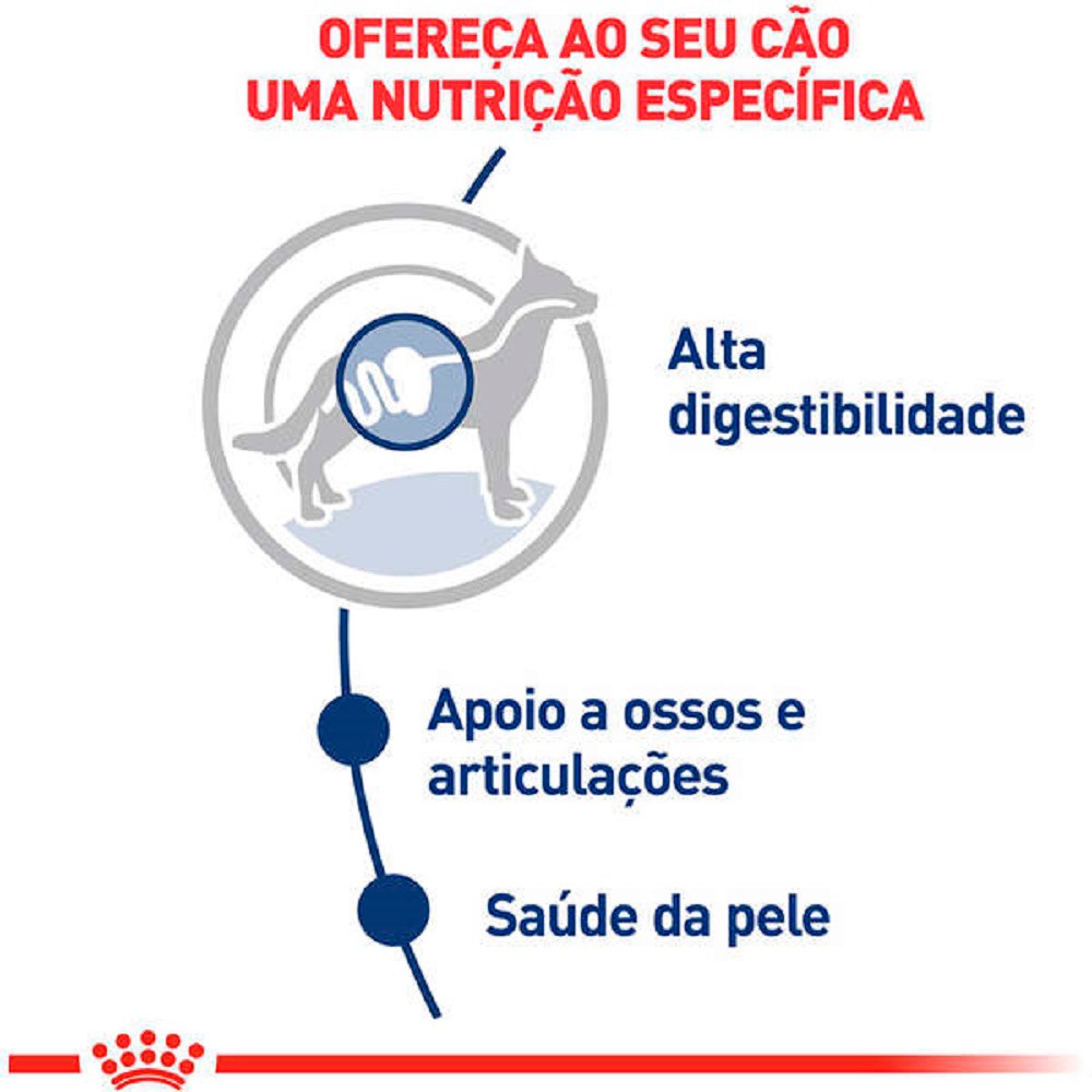 Ração Royal Canin Sachê Maxi Adult para Cães Adultos de Porte Grande
