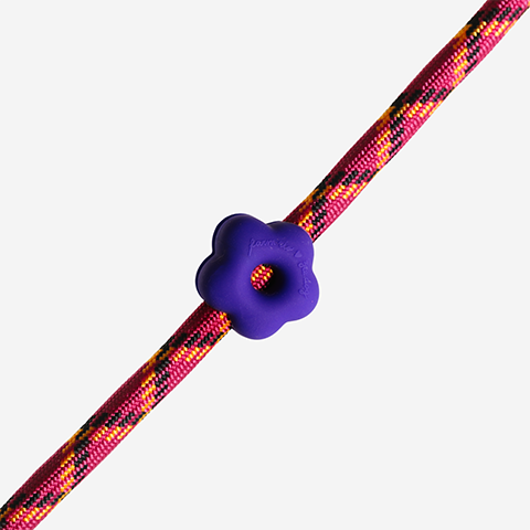 Zee.Pinz FARM Rio Flor Azul | Zee.Dog