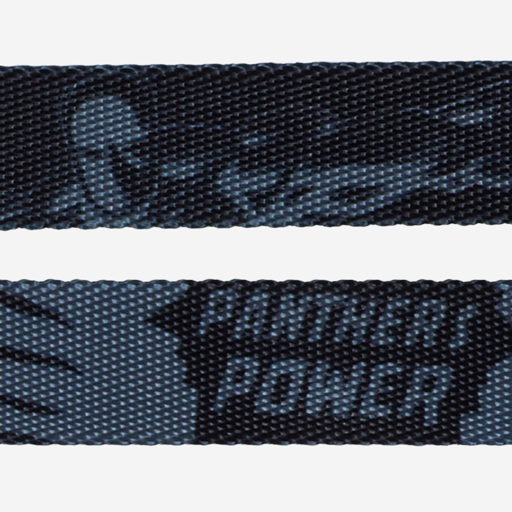 Guia para Cachorros Marvel Pantera Negra | Imagem 5