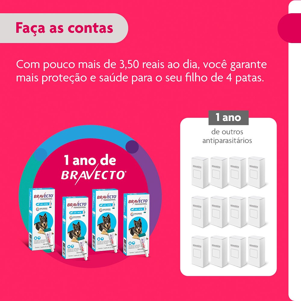 Antipulgas e Carrapatos Bravecto Transdermal para Cães de 20kg a 40kg -  1000mg