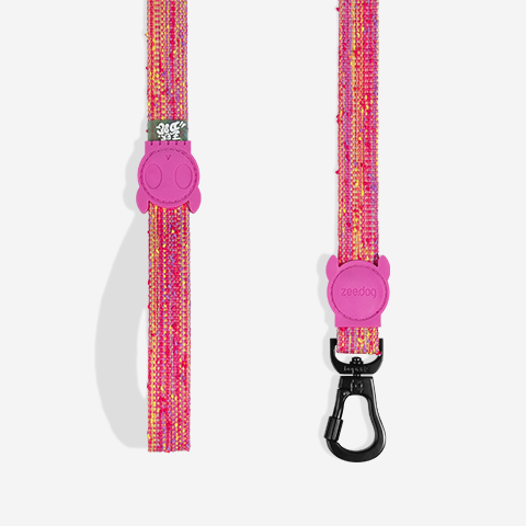 Guia para Cachorros Fuse Chop | Zee.Dog