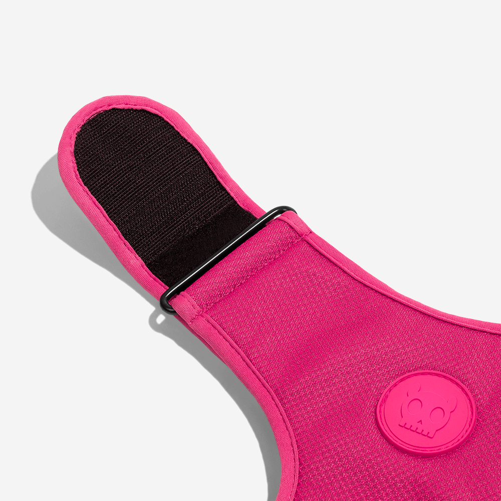 Peitoral para Cachorros Air Mesh Ajustável Pink Led | Imagem 3