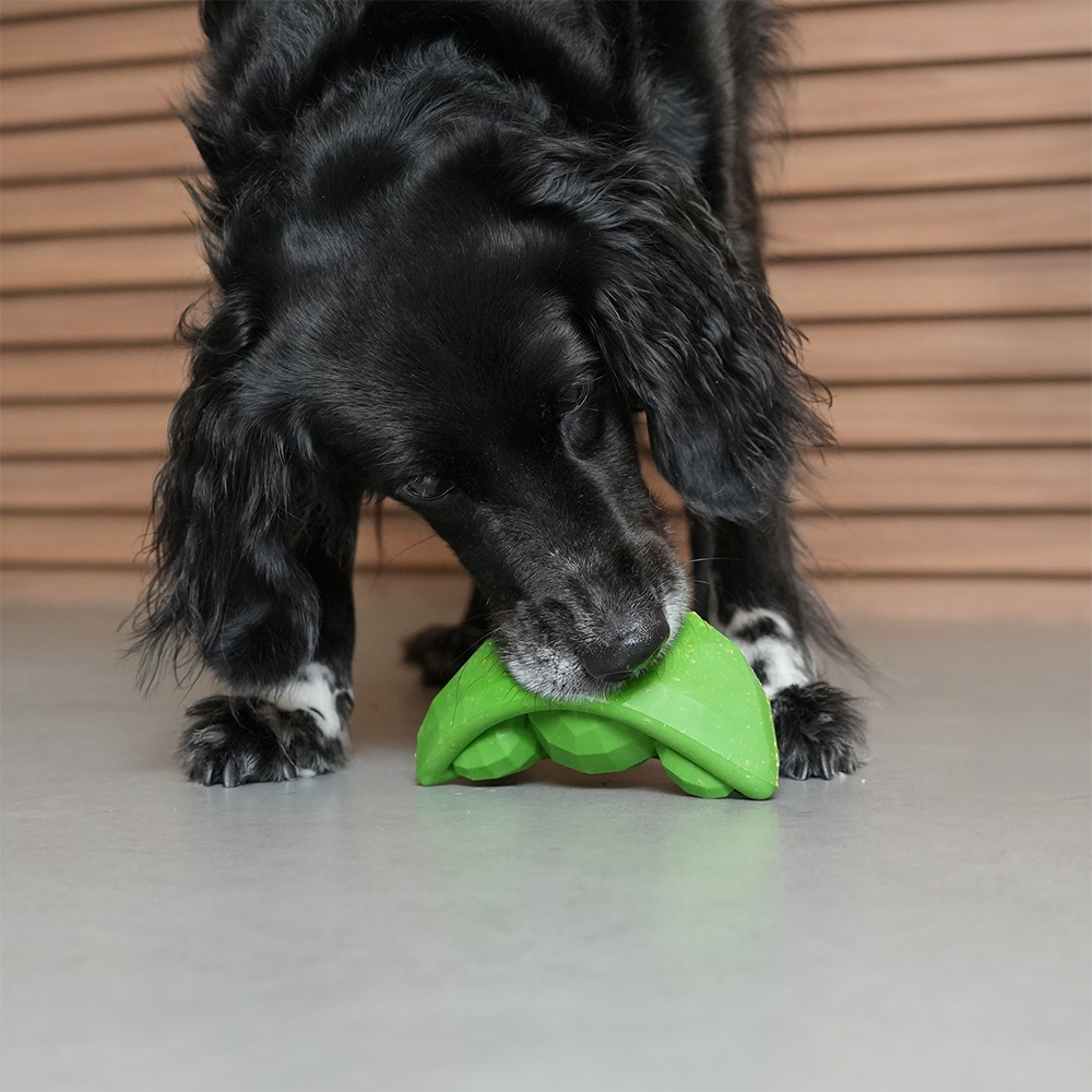 Brinquedo para Cachorros Super Veggiez Ervilha