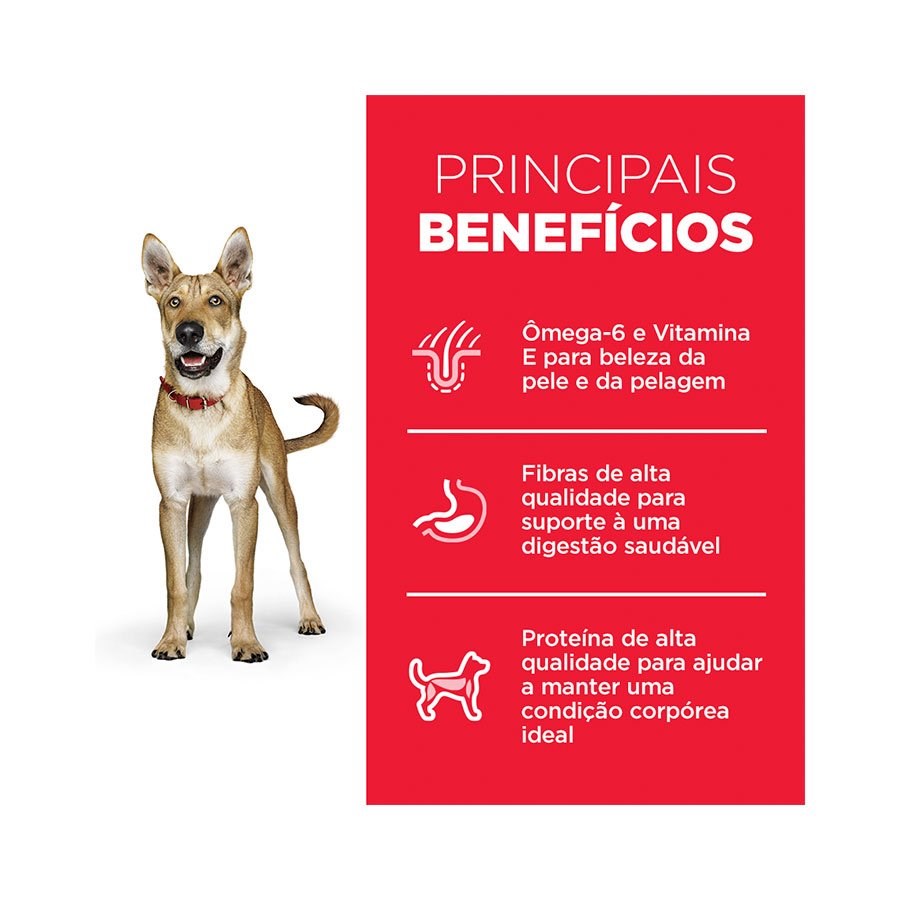 Ração Hill's Science Diet para Cães Adultos