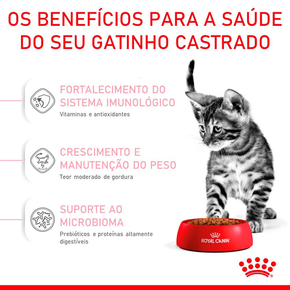 Ração Royal Canin Sterilised para Gatos Filhotes