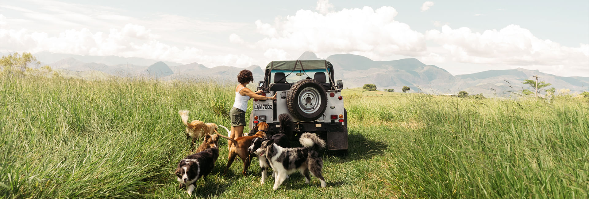 Coleira para Cachorros Patagonia | Lifestyle Images