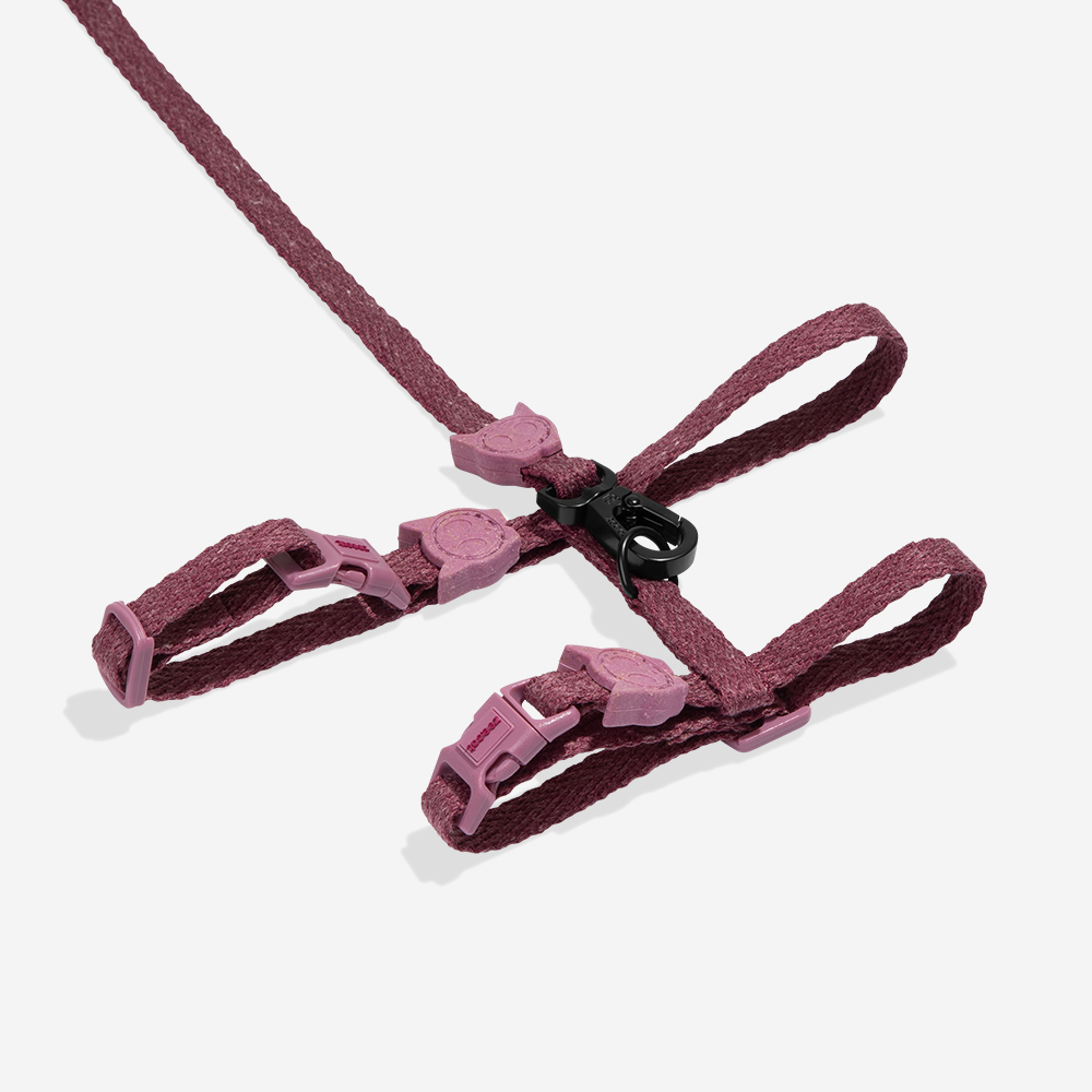 Peitoral com Guia Zee.Cat Naturals Hibiscus para Gatos | Zee.Dog