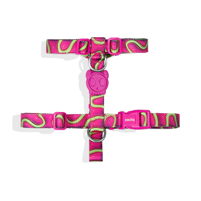 Peitoral para Cachorros H H3D Jelly P