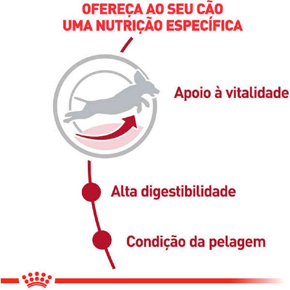 Ração Royal Canin para Cães Adultos Medium Adult 7+ 