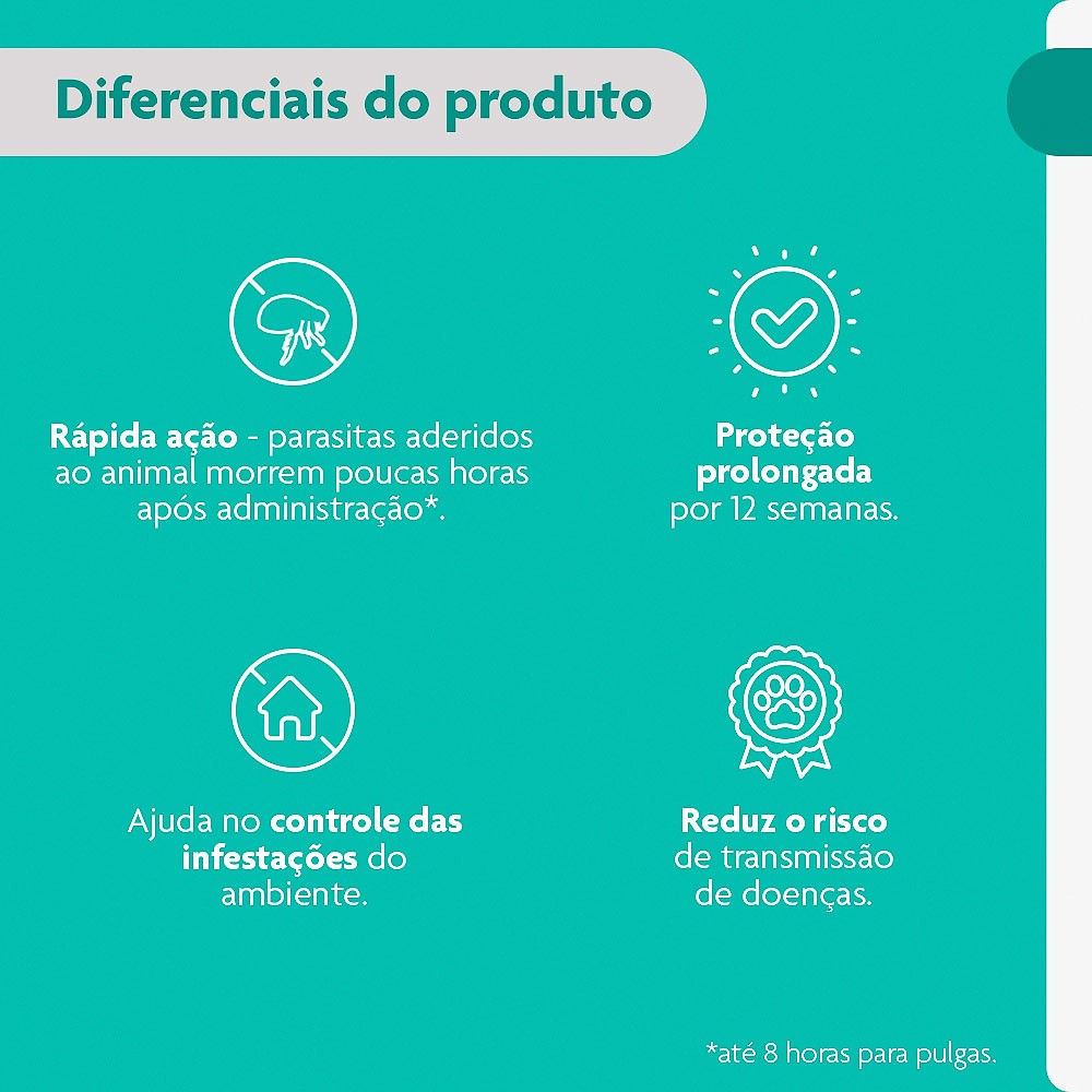 Antipulgas e Carrapatos Bravecto Transdermal para Gatos de 6,25kg a 12,5kg - 500mg