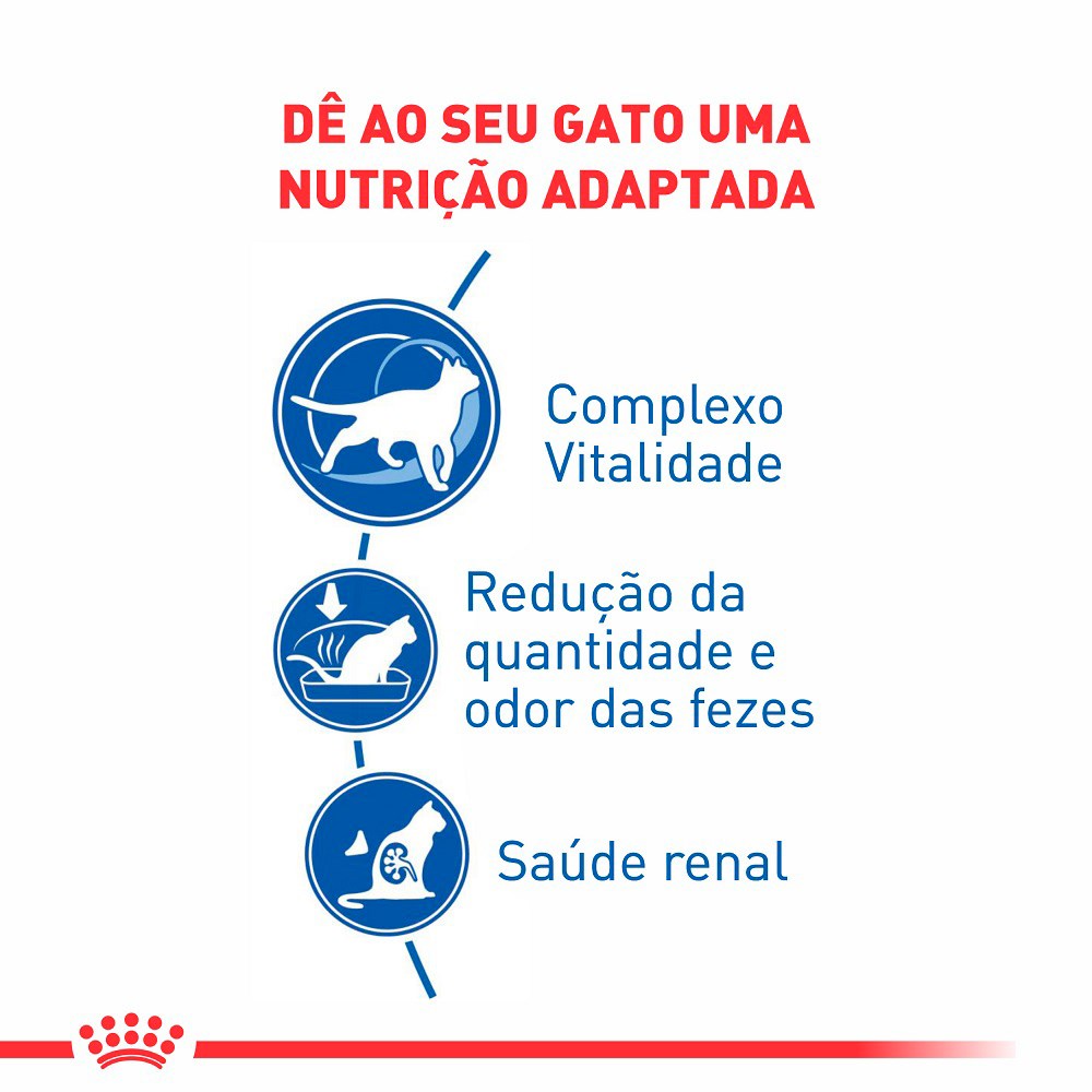 Ração Royal Canin Indoor para Gatos Adultos a partir de 7 anos de idade