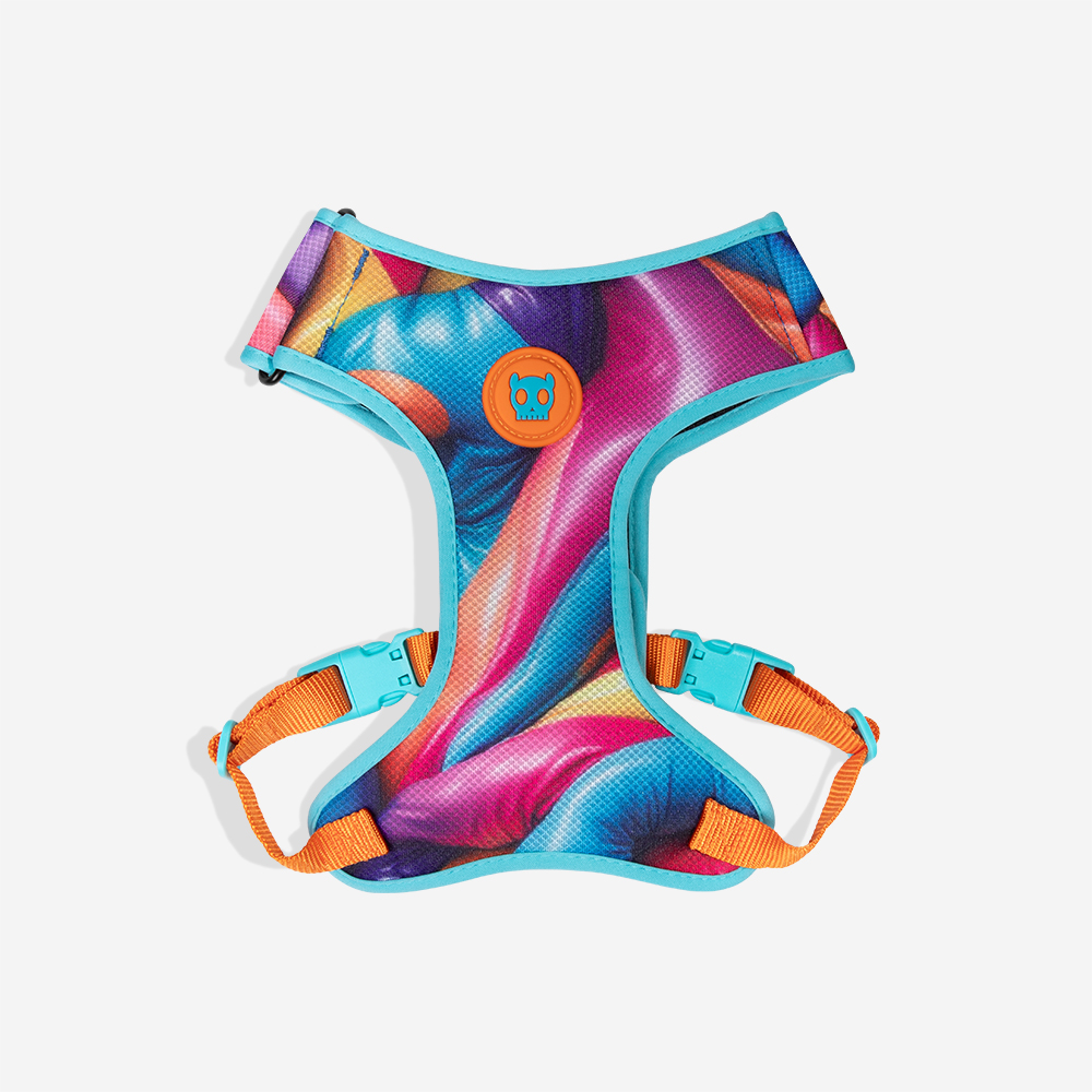 Peitoral para Cachorros Air Mesh Ajustável H3D Bounce | Imagem 0
