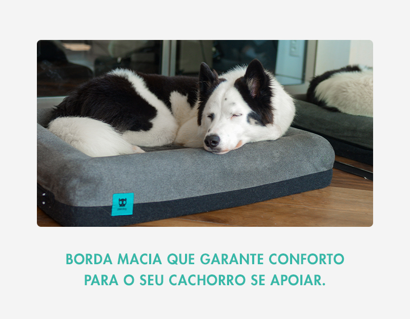 Cama para Cachorros Zee.Bed Skull 2.0