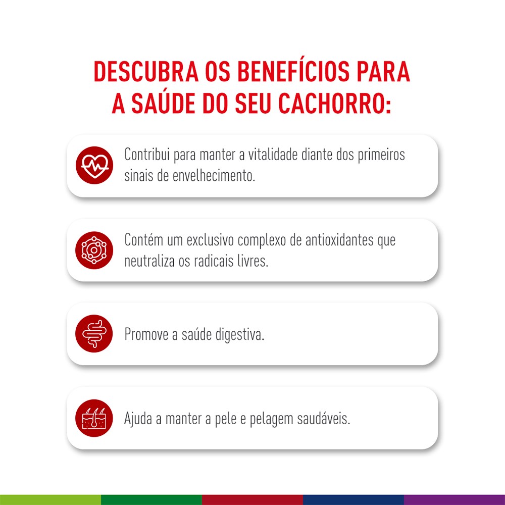Ração Seca Royal Canin Medium Adult 7+ para Cães Adultos de Porte Médio com 7 Anos ou mais