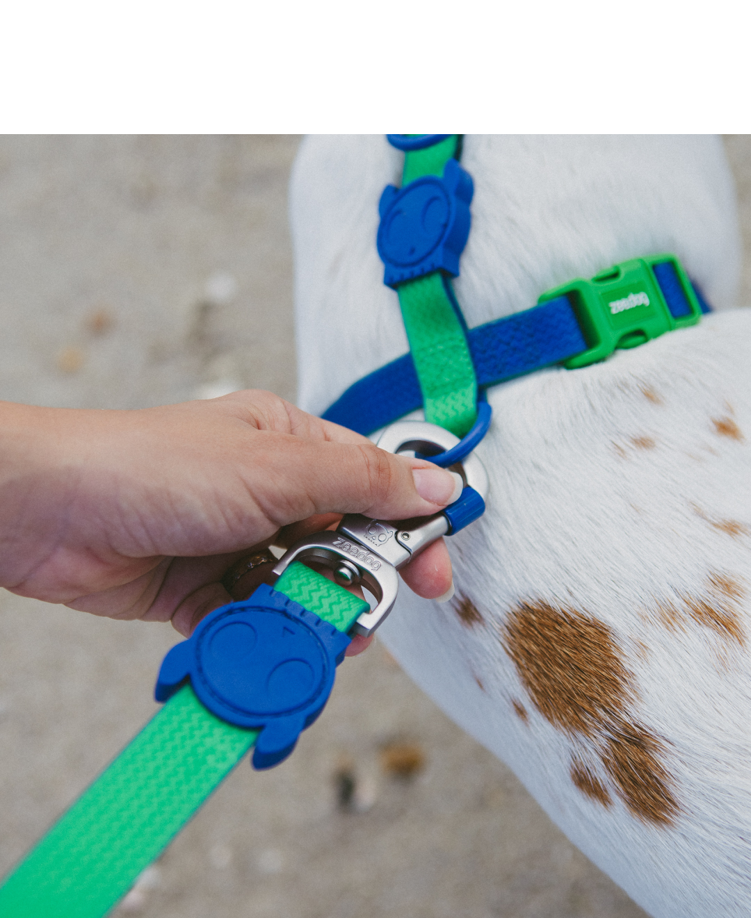 Guia para Cachorros Neopro Apex
