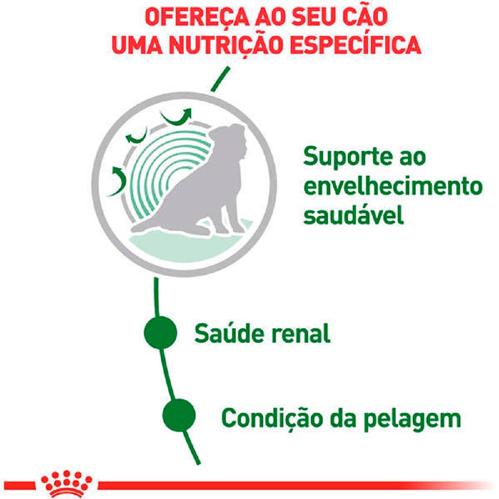Ração Royal Canin  Sachê Mini Ageing 12+