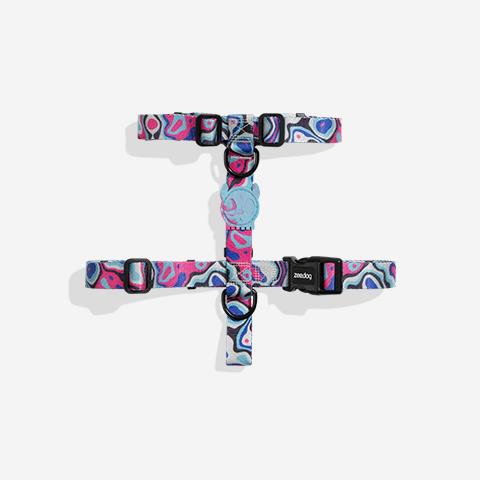 Peitoral para Cachorros H Blast | Zee.Dog