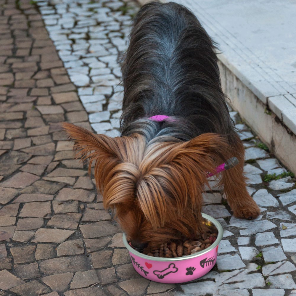 Comedouro GermanHart Tigela Inox Cutie Rosa para Cães