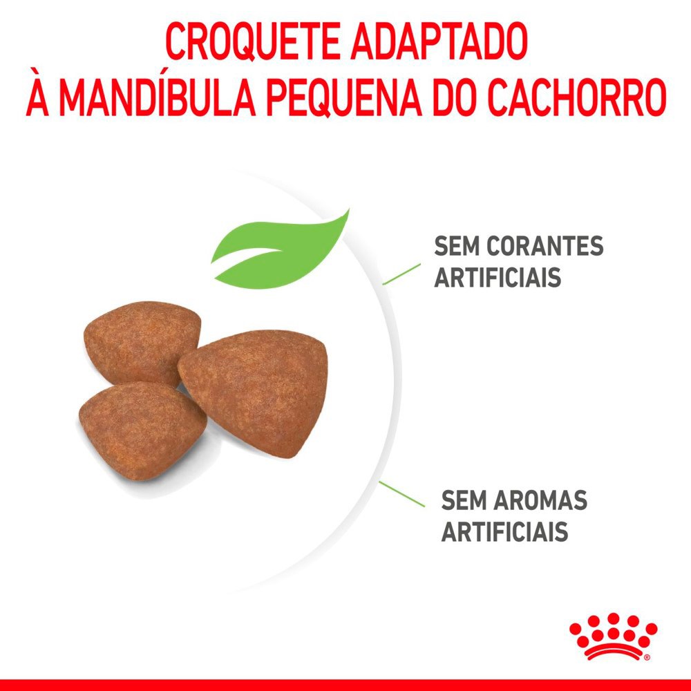 Ração Royal Canin Puppy Mini para Cães Filhotes de Porte Pequeno