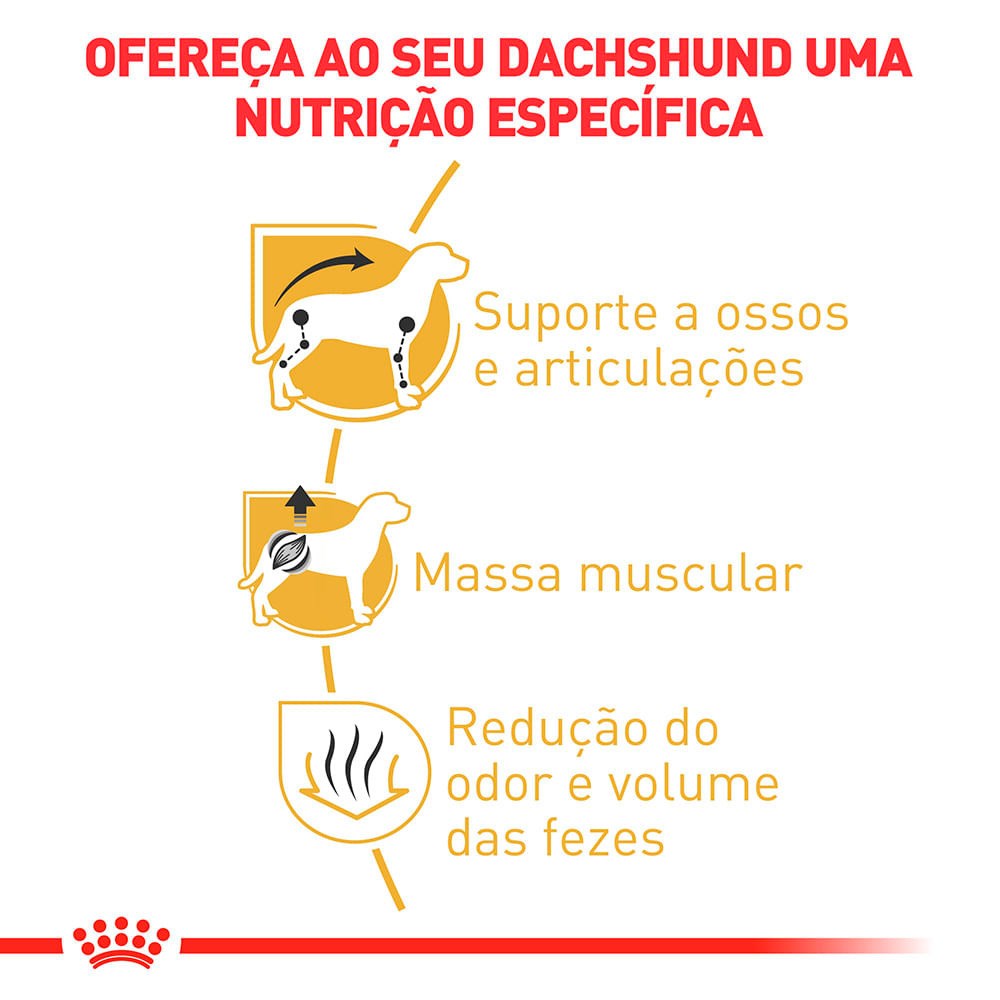 Ração Royal Canin Daschshund para Cães Adultos