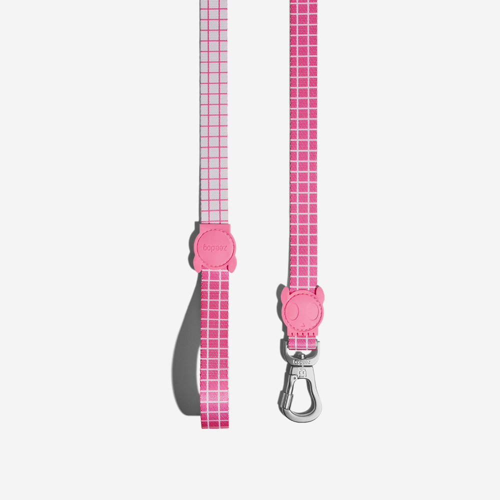 Guia para Cachorros Pink Wave | Imagem 0