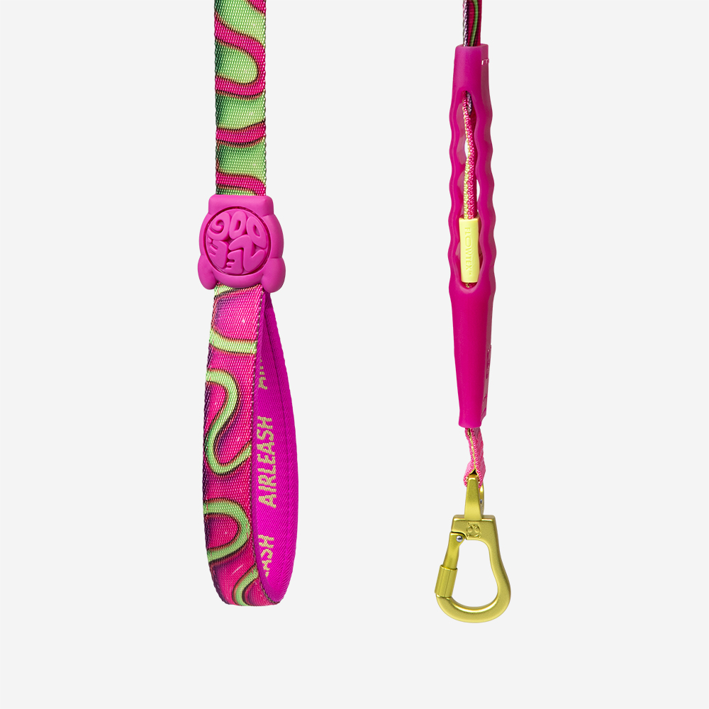 Guia para Cachorros Airleash H3D Jelly  | Imagem 0