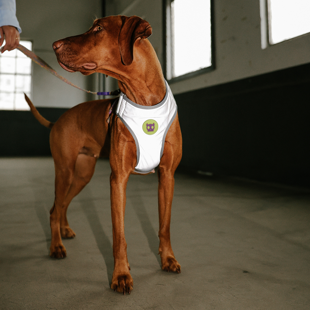 Peitoral para Cachorros Air Mesh Ajustável Fuse UFO | Imagem 5