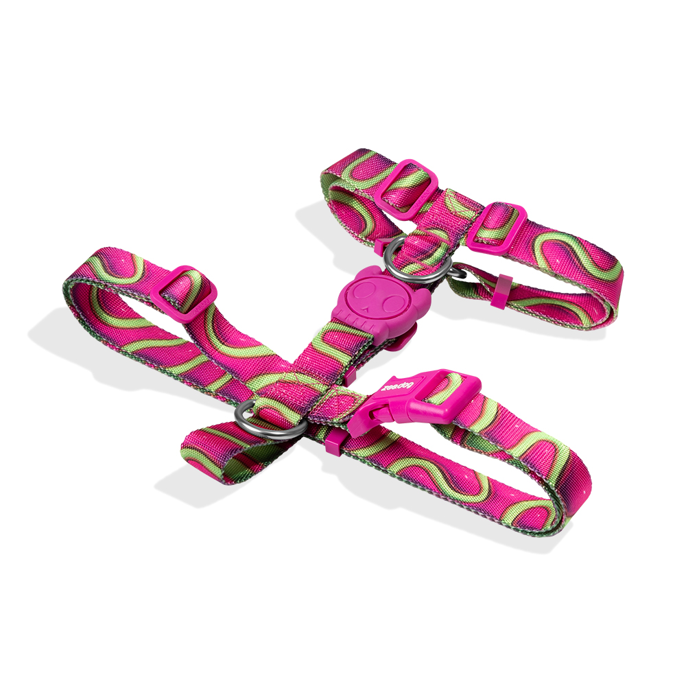 Peitoral para Cachorros H H3D Jelly