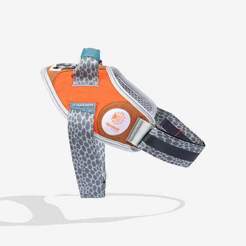 Peitoral para Cachorros FlyHarness Reebok Suede | Zee.Dog