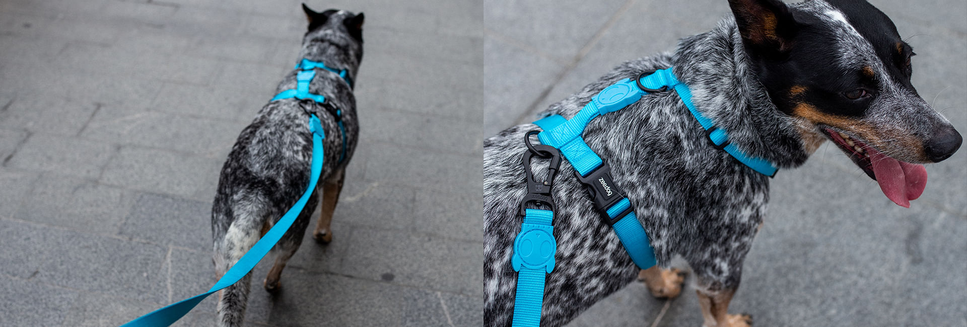 Peitoral para Cachorros Air Mesh Ajustável Ultimate Blue | Lifestyle Images